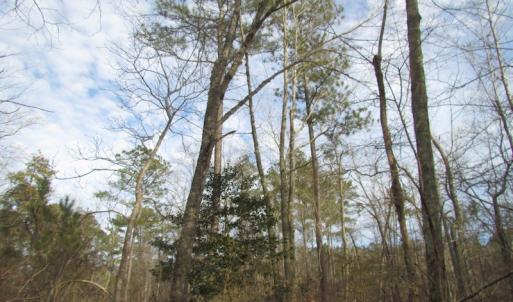 Photo of UNDER CONTRACT!  10 Acres of Recreational and Investment Land For Sale in Suffolk County VA!