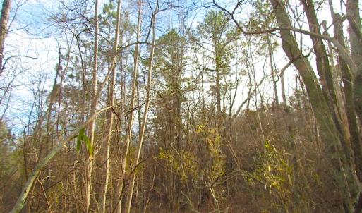 Photo of UNDER CONTRACT!  10 Acres of Recreational and Investment Land For Sale in Suffolk County VA!