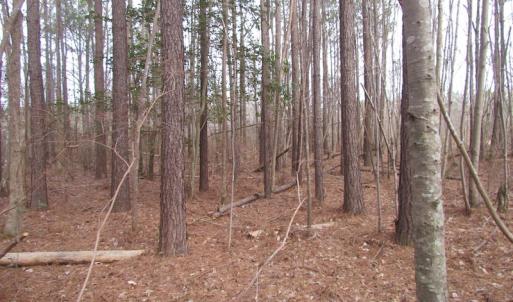 Photo of UNDER CONTRACT!  10 Acres of Recreational and Investment Land For Sale in Suffolk County VA!