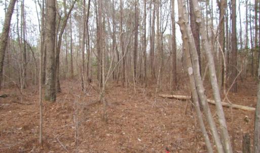 Photo of UNDER CONTRACT!  10 Acres of Recreational and Investment Land For Sale in Suffolk County VA!