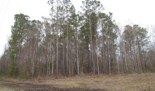 Photo of UNDER CONTRACT!  10 Acres of Recreational and Investment Land For Sale in Suffolk County VA!