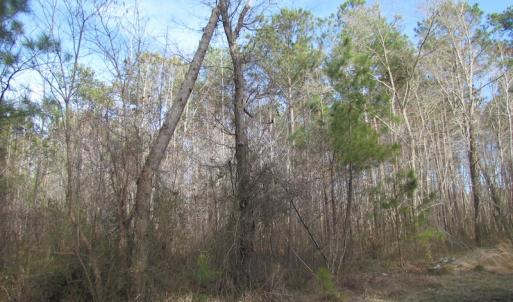 Photo of UNDER CONTRACT!  10 Acres of Recreational and Investment Land For Sale in Suffolk County VA!