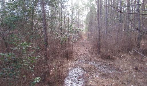 Photo of UNDER CONTRACT!  10 Acres of Recreational and Investment Land For Sale in Suffolk County VA!