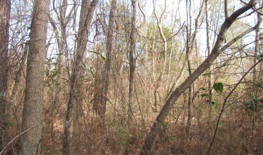 Photo of UNDER CONTRACT!  10 Acres of Recreational and Investment Land For Sale in Suffolk County VA!