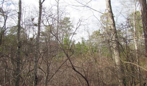 Photo of UNDER CONTRACT!  10 Acres of Recreational and Investment Land For Sale in Suffolk County VA!