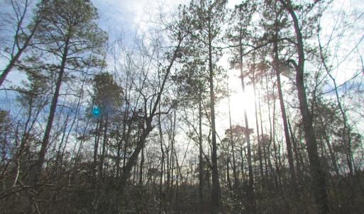 Photo of UNDER CONTRACT!  10 Acres of Recreational and Investment Land For Sale in Suffolk County VA!
