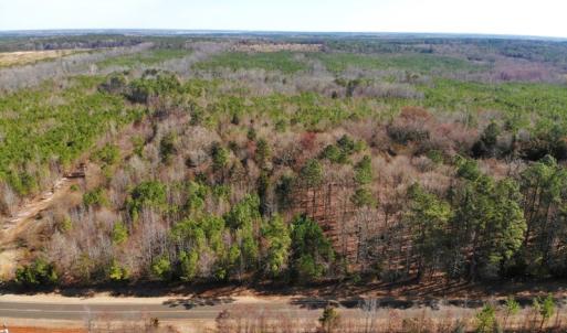 Photo of UNDER CONTRACT!  10.03 Acres of Hunting and Timberland For Sale in Warren County NC!
