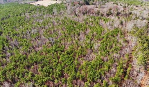 Photo of UNDER CONTRACT!  10.03 Acres of Hunting and Timberland For Sale in Warren County NC!