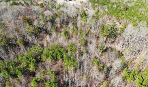 Photo of UNDER CONTRACT!  10.03 Acres of Hunting and Timberland For Sale in Warren County NC!