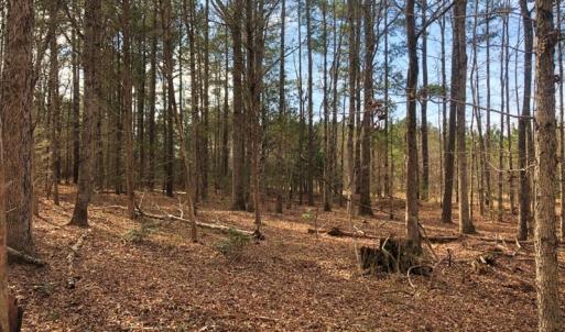 Photo of UNDER CONTRACT!  10.03 Acres of Hunting and Timberland For Sale in Warren County NC!