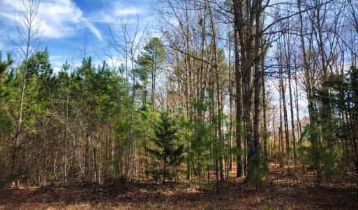 Photo of UNDER CONTRACT!  10.03 Acres of Hunting and Timberland For Sale in Warren County NC!