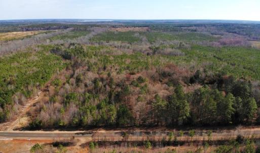 Photo of UNDER CONTRACT!  10.03 Acres of Hunting and Timberland For Sale in Warren County NC!