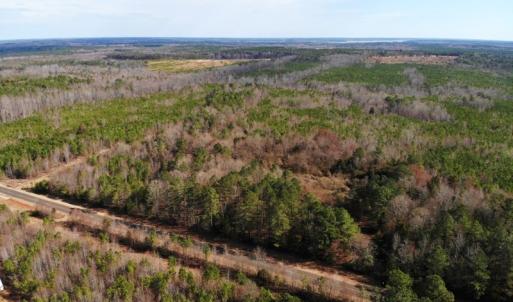 Photo of UNDER CONTRACT!  10.03 Acres of Hunting and Timberland For Sale in Warren County NC!