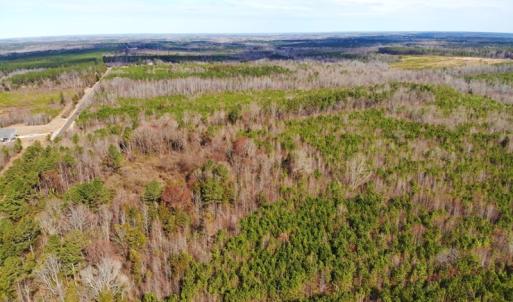 Photo of UNDER CONTRACT!  10.03 Acres of Hunting and Timberland For Sale in Warren County NC!