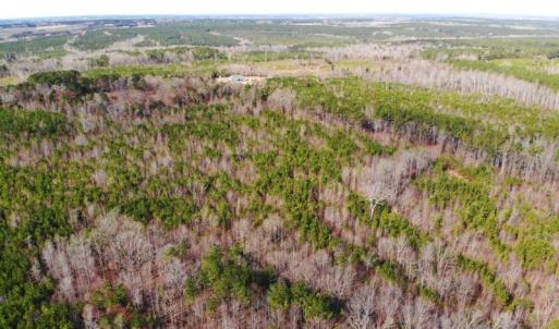 Photo of UNDER CONTRACT!  10.03 Acres of Hunting and Timberland For Sale in Warren County NC!