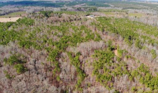 Photo of UNDER CONTRACT!  10.03 Acres of Hunting and Timberland For Sale in Warren County NC!