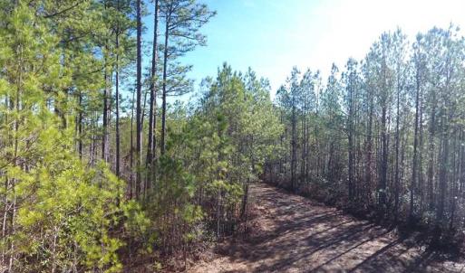Photo of SOLD!!  290.75 Acres of Creek Front Hunting and Timber Land For Sale in Pender County NC!