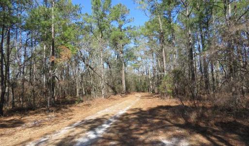 Photo of SOLD!!  290.75 Acres of Creek Front Hunting and Timber Land For Sale in Pender County NC!