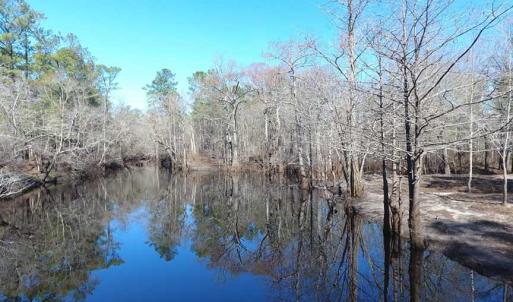 Photo of SOLD!!  290.75 Acres of Creek Front Hunting and Timber Land For Sale in Pender County NC!