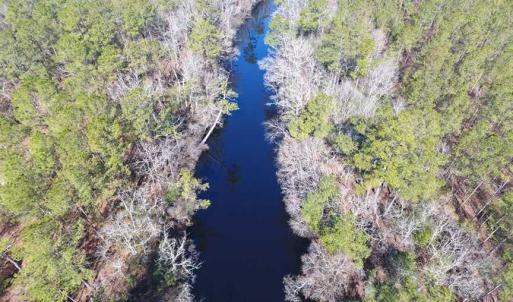 Photo of SOLD!!  290.75 Acres of Creek Front Hunting and Timber Land For Sale in Pender County NC!