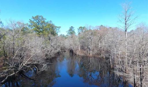 Photo of SOLD!!  290.75 Acres of Creek Front Hunting and Timber Land For Sale in Pender County NC!