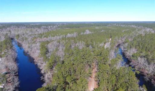 Photo of SOLD!!  290.75 Acres of Creek Front Hunting and Timber Land For Sale in Pender County NC!