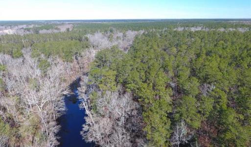 Photo of SOLD!!  290.75 Acres of Creek Front Hunting and Timber Land For Sale in Pender County NC!