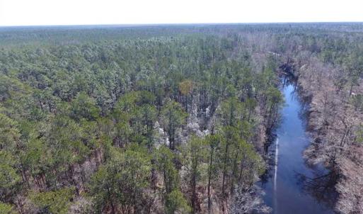 Photo of SOLD!!  290.75 Acres of Creek Front Hunting and Timber Land For Sale in Pender County NC!