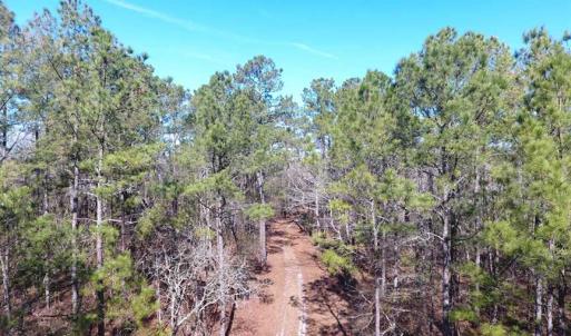 Photo of SOLD!!  290.75 Acres of Creek Front Hunting and Timber Land For Sale in Pender County NC!