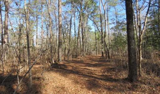 Photo of SOLD!!  290.75 Acres of Creek Front Hunting and Timber Land For Sale in Pender County NC!