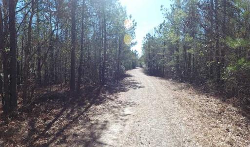 Photo of SOLD!!  290.75 Acres of Creek Front Hunting and Timber Land For Sale in Pender County NC!