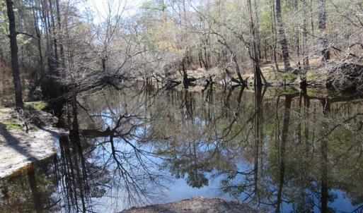 Photo of SOLD!!  290.75 Acres of Creek Front Hunting and Timber Land For Sale in Pender County NC!