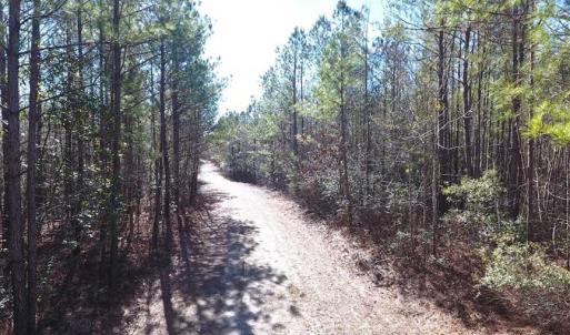 Photo of SOLD!!  290.75 Acres of Creek Front Hunting and Timber Land For Sale in Pender County NC!