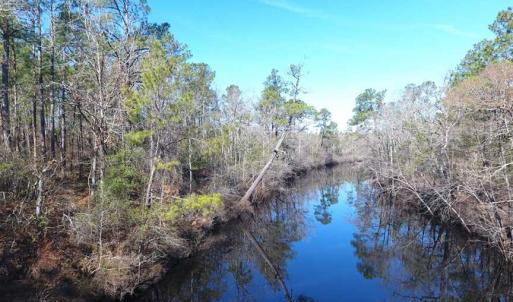 Photo of SOLD!!  290.75 Acres of Creek Front Hunting and Timber Land For Sale in Pender County NC!