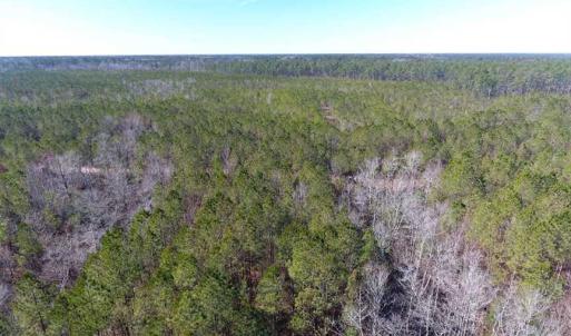 Photo of SOLD!!  290.75 Acres of Creek Front Hunting and Timber Land For Sale in Pender County NC!