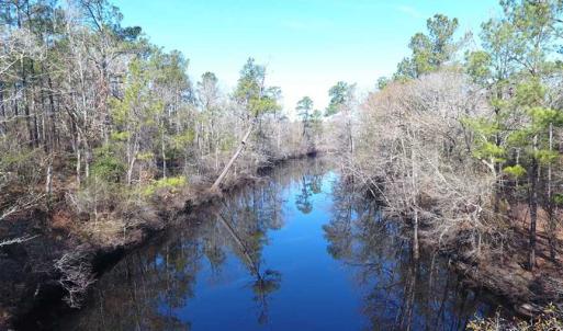 Photo of SOLD!!  290.75 Acres of Creek Front Hunting and Timber Land For Sale in Pender County NC!