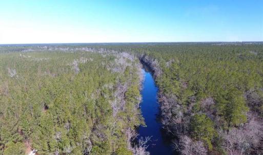 Photo of SOLD!!  290.75 Acres of Creek Front Hunting and Timber Land For Sale in Pender County NC!