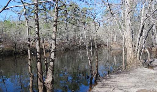 Photo of SOLD!!  290.75 Acres of Creek Front Hunting and Timber Land For Sale in Pender County NC!