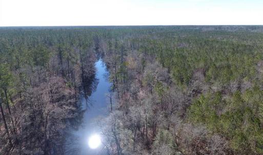 Photo of SOLD!!  290.75 Acres of Creek Front Hunting and Timber Land For Sale in Pender County NC!