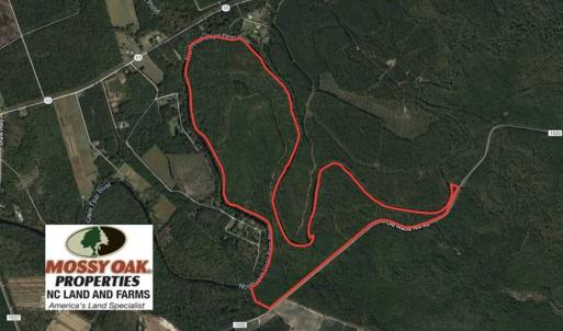 Photo of SOLD!!  290.75 Acres of Creek Front Hunting and Timber Land For Sale in Pender County NC!