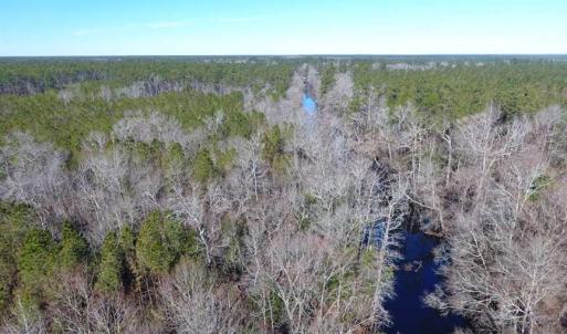Photo of SOLD!!  290.75 Acres of Creek Front Hunting and Timber Land For Sale in Pender County NC!