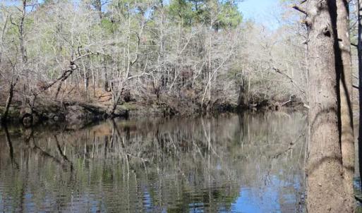 Photo of SOLD!!  290.75 Acres of Creek Front Hunting and Timber Land For Sale in Pender County NC!