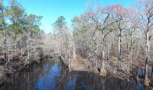 Photo of SOLD!!  290.75 Acres of Creek Front Hunting and Timber Land For Sale in Pender County NC!