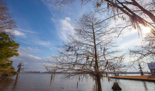 Photo of SOLD!!  3.8 Acres of Waterfront Land For Sale in Perquimans County NC!