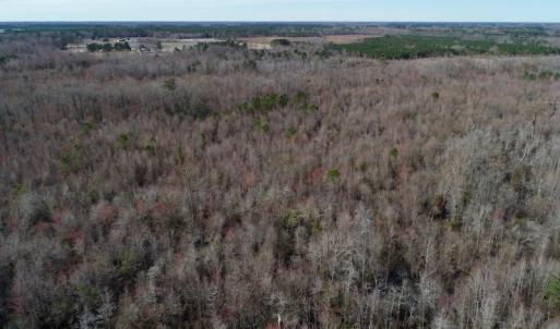 Photo of UNDER CONTRACT!  121 Acres of Hunting Land For Sale in Robeson County NC!