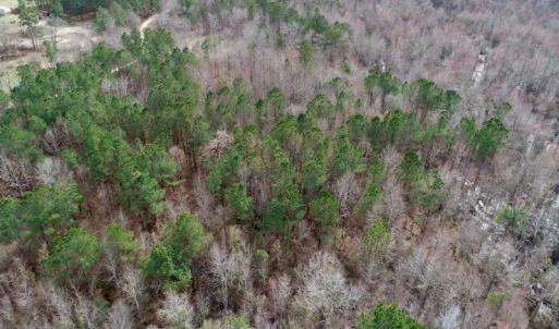 Photo of UNDER CONTRACT!  121 Acres of Hunting Land For Sale in Robeson County NC!