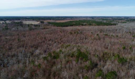 Photo of UNDER CONTRACT!  121 Acres of Hunting Land For Sale in Robeson County NC!