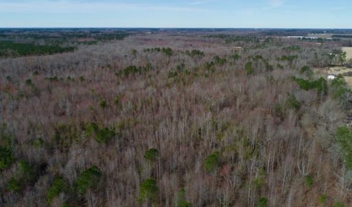 Photo of UNDER CONTRACT!  121 Acres of Hunting Land For Sale in Robeson County NC!