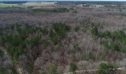 Photo of UNDER CONTRACT!  121 Acres of Hunting Land For Sale in Robeson County NC!