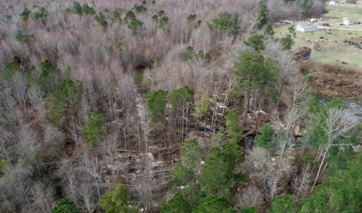 Photo of UNDER CONTRACT!  121 Acres of Hunting Land For Sale in Robeson County NC!